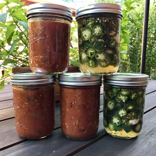 adventures in home canning, starring homegrown tomatoes & peppers