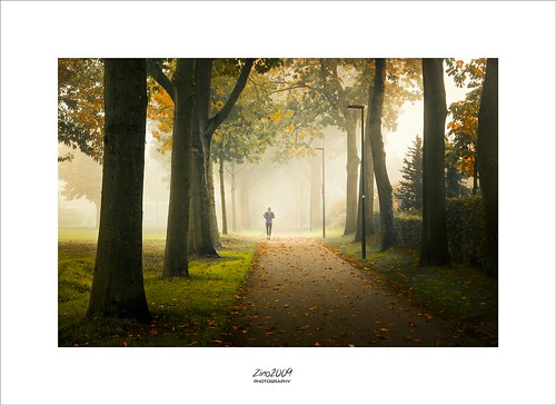 forest run walk light fog grey color runner man alone healthy early sunday morning path straight end perpective depth endless view holland fall leaves mood trees changing netherlands dutch zino2009