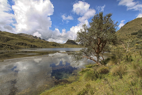 ecuador cajasnationalpark landscape tree water tundra hills cuenca lagoon clouds azuay ec