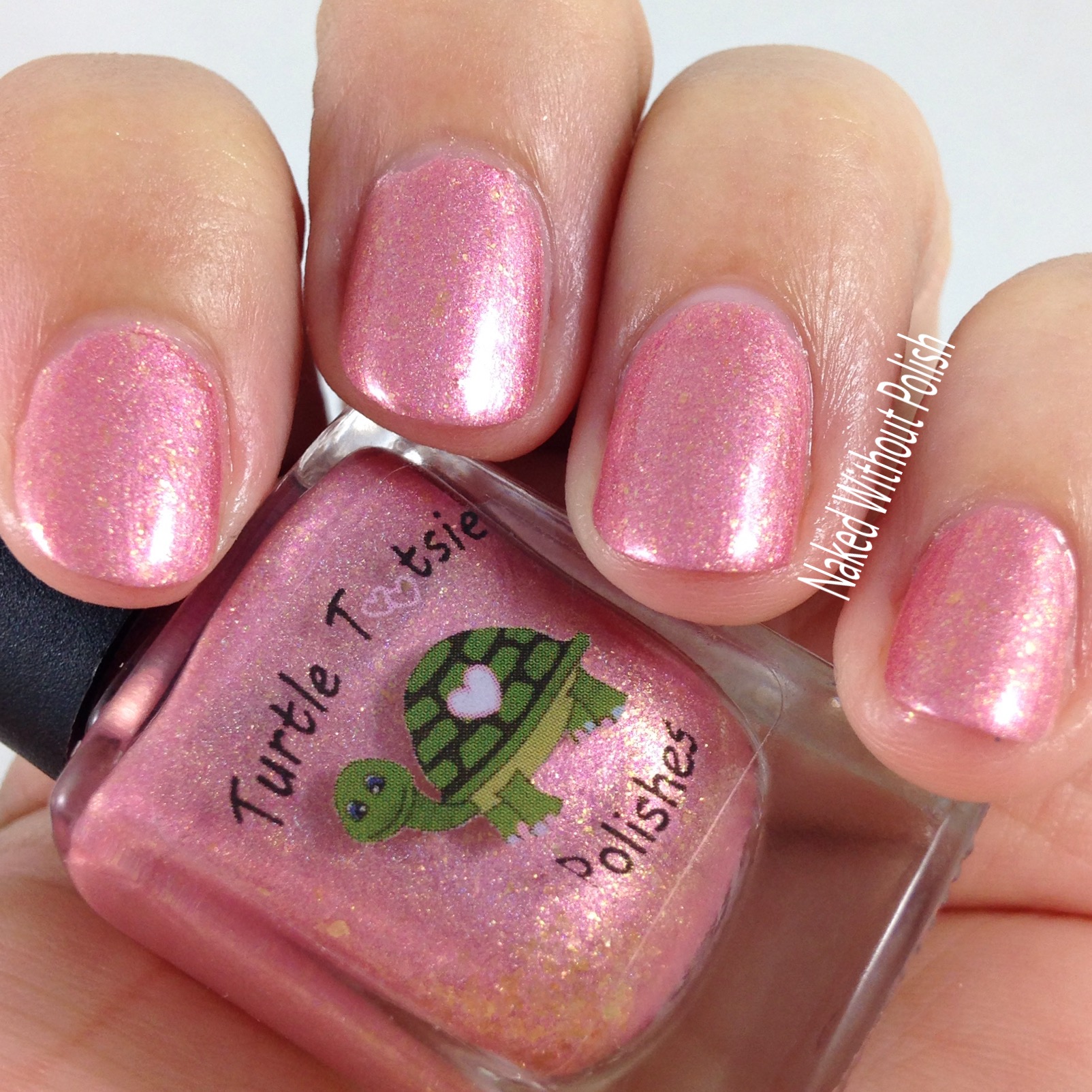 Turtle-Tootsie-Polishes-Beauty-School-Dropout-6