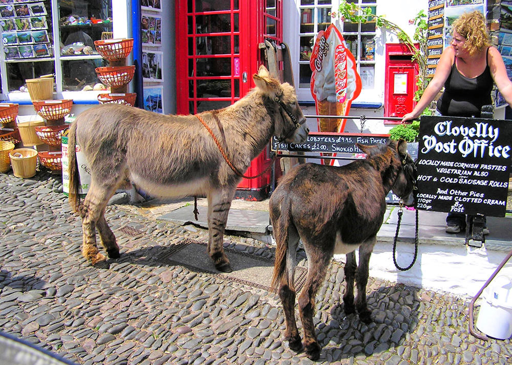Donkeys on the steep main street, outside the village's post office