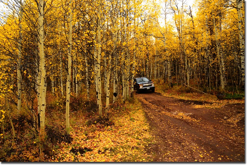 Colorado Trail (20)