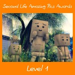 SLAP Award Level 1