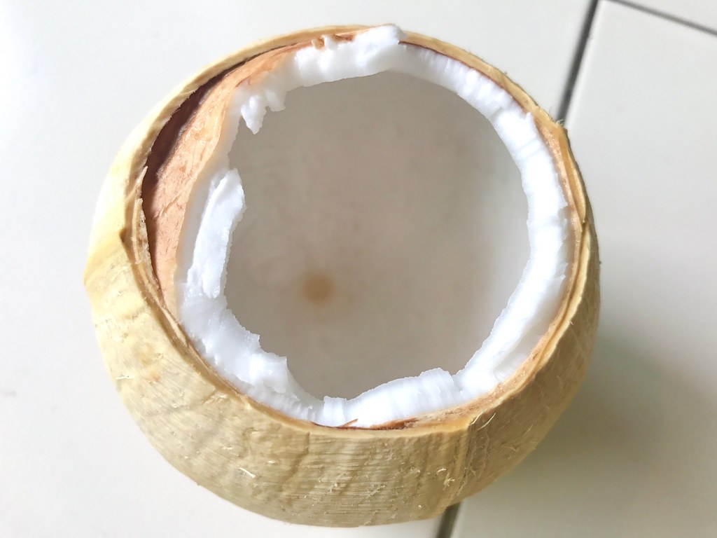 Coconut with tab 4