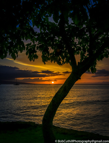 color peaceful water hawaii uhhuhmoment majestic maui silhoette lahaina islandlife usa sunset glory lovinglife outdoor canon evening clouds longexposure moment ocean silhouette landscape memories dreamy reflection copyright eos vacation 6d shimmering tropical glowingsky