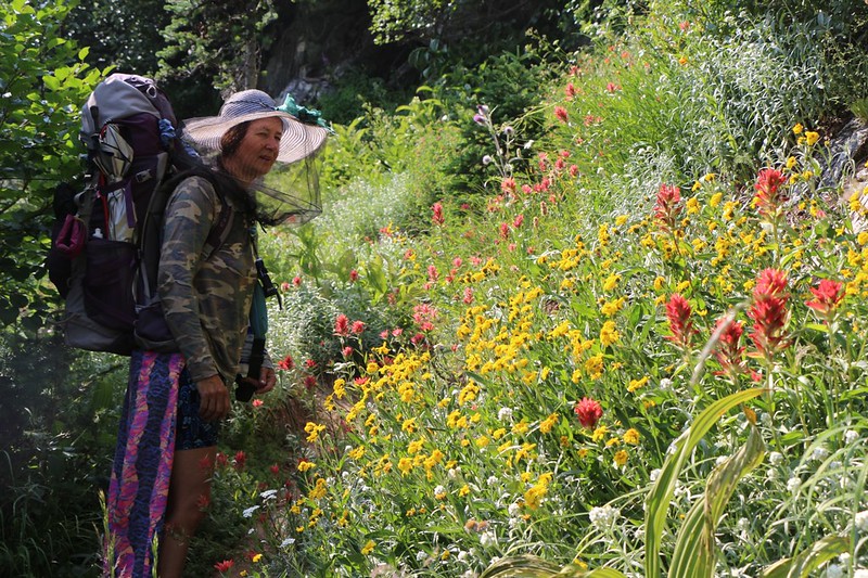 The wildflowers were cascading down the south slope of Helmet Butte on the Buck Creek Trail