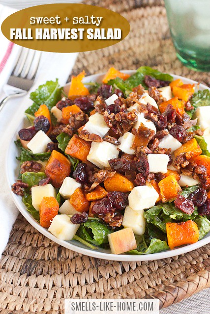 Fall Harvest Salad