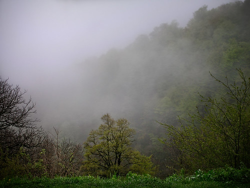 teghut tavushprovince armenia am 2006 fog haghartsin landscape mountain nature plant tree village