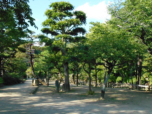 jp-matsuyama-Parc Dogo (1)