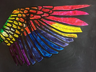 36 Rainbow Wing