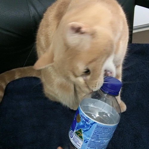stealing a water bottle