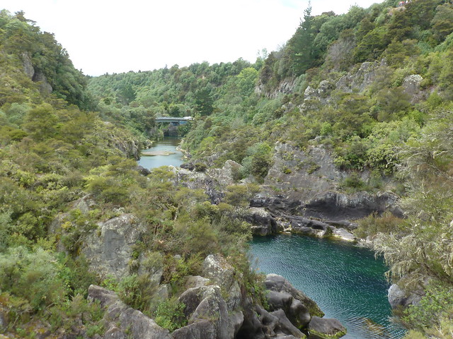 NUEVA ZELANDA. POR LA TIERRA DE LA LARGA NUBE BLANCA - Blogs de Nueva Zelanda - De camino a Tongariro NP: Waiotapu, Aratiatia Rapids, Orakei Korako, Huka Fall (2)