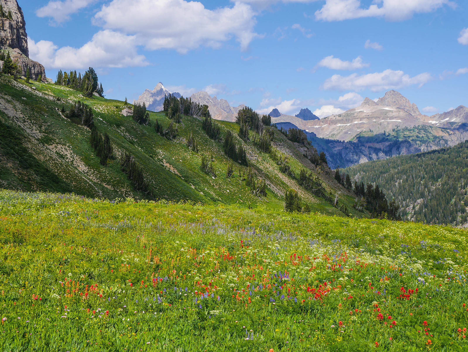 Tetons! and Death Canyon. And wildflowers or w/e