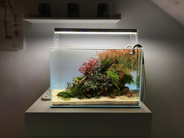 The Red Cliff Aquascape