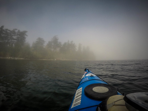 Samish Island Paddling in Fog-8