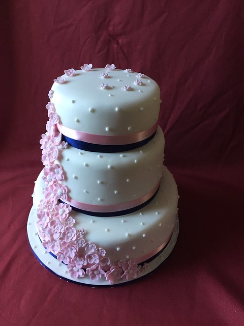 Cake by Beverley Johnstone of Bevs bakes and novelty cakes