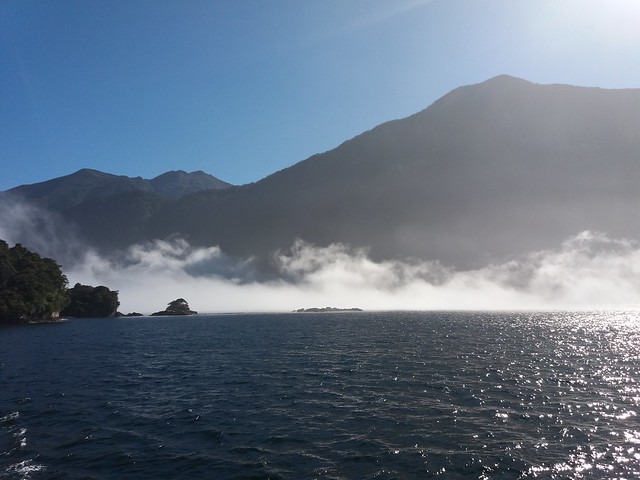 Doubtful Sound. Pequeña ruta por Kepler Track. - NUEVA ZELANDA. POR LA TIERRA DE LA LARGA NUBE BLANCA (35)