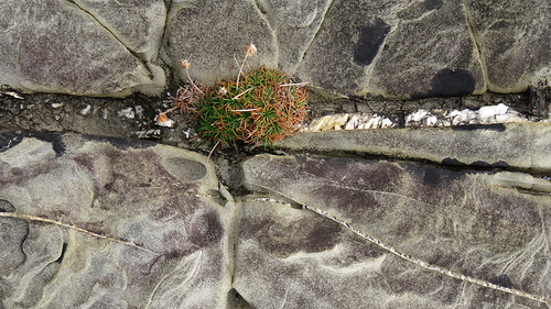 The rock textures on the beach near Loop Head Lighthouse in Ireland