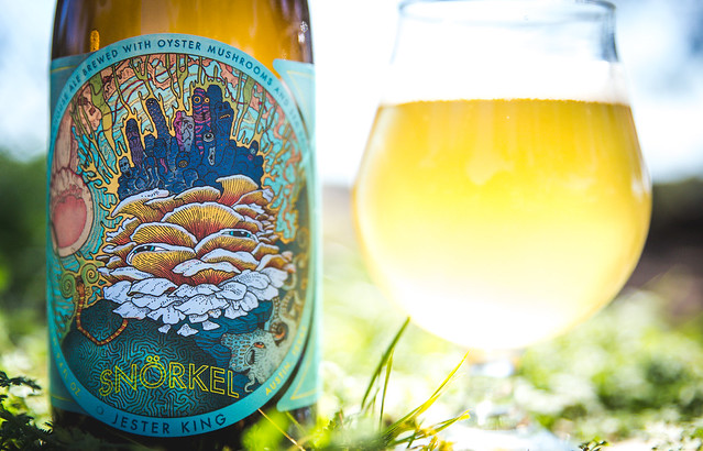 Jester King-9864