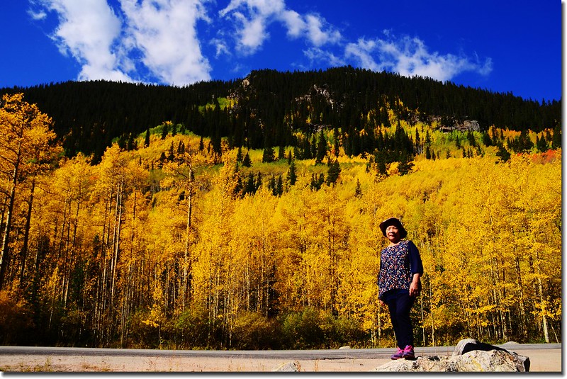 Fall colors, Guanella Pass, Colorado (5)