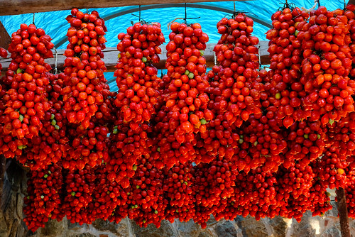 amalfi sunrise italy xt2 tomato