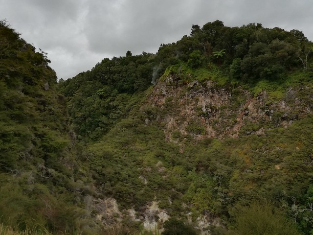 NUEVA ZELANDA. POR LA TIERRA DE LA LARGA NUBE BLANCA - Blogs de Nueva Zelanda - Valle volcánico de Waimangu (20)