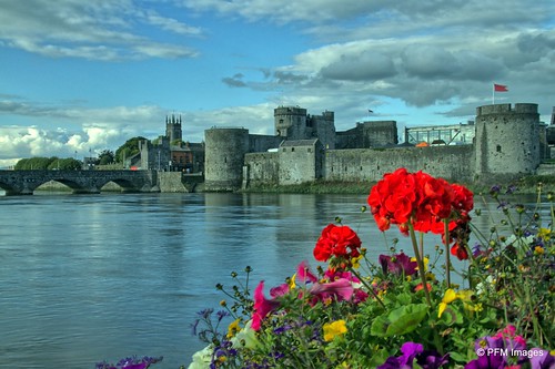 limerick shannon river countyshannon rose flowers water reflection kingjohnscastle kingjohn king john green red yellow purple blue sky clouds waterreflection canon slr eos hdr waterscape landscape architecture tower bridge outdoor ireland irish country waterside riverside stone flag european celtic