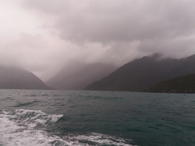 Milford Sound. Recorrido por el fiordo. Camino a los Catlins - NUEVA ZELANDA. POR LA TIERRA DE LA LARGA NUBE BLANCA (4)