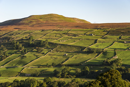 calverhill reeth northyorkshire yorkshiredales dales yorkshire england hill september landscape morning fields pattern patchwork countryside rural beautiful scenery view grinton green sunny