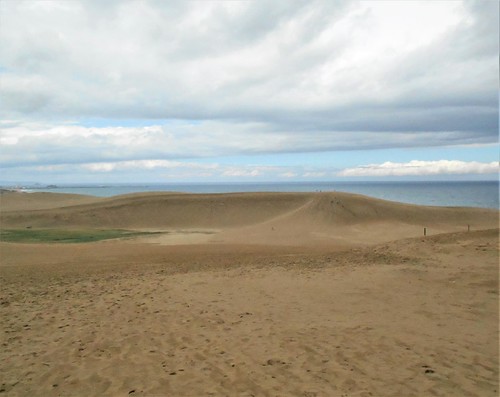 jp-tottori-dunes (1)