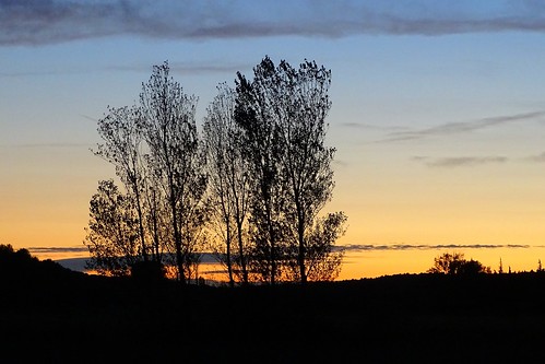 sunset tramonto francia settembre france provence provenza paradou trees alberi silhouette silhouettes