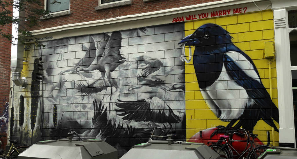 Street art tour in Rotterdam, The Netherlands: MeLikePainting | Your Dutch Guide