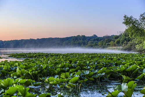 eden prairie mn minnesota sunrise staring lake canon 5ds 5dsr eos 14mm rokinon 28 24105 f4 summer lilypad lilypads nature landscape hdr dock benches blue sky skies water morning early orange colours natural trees