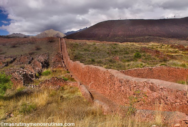 Por las escaleras de PERÚ - Blogs de Peru - Valle Sur de Cusco: ruinas de Tipón y Pikillacta (5)