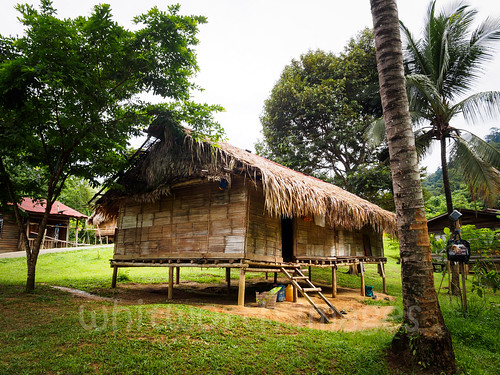 tasiktemenggor hut asia southeastasia asli native stilts malaysia palm belum house perak laketemenggor bamboo thatch village traditional gerik my