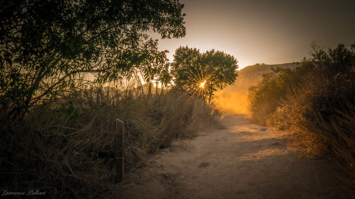 trail dusty sunset tree goldenhour escondido california unitedstates us