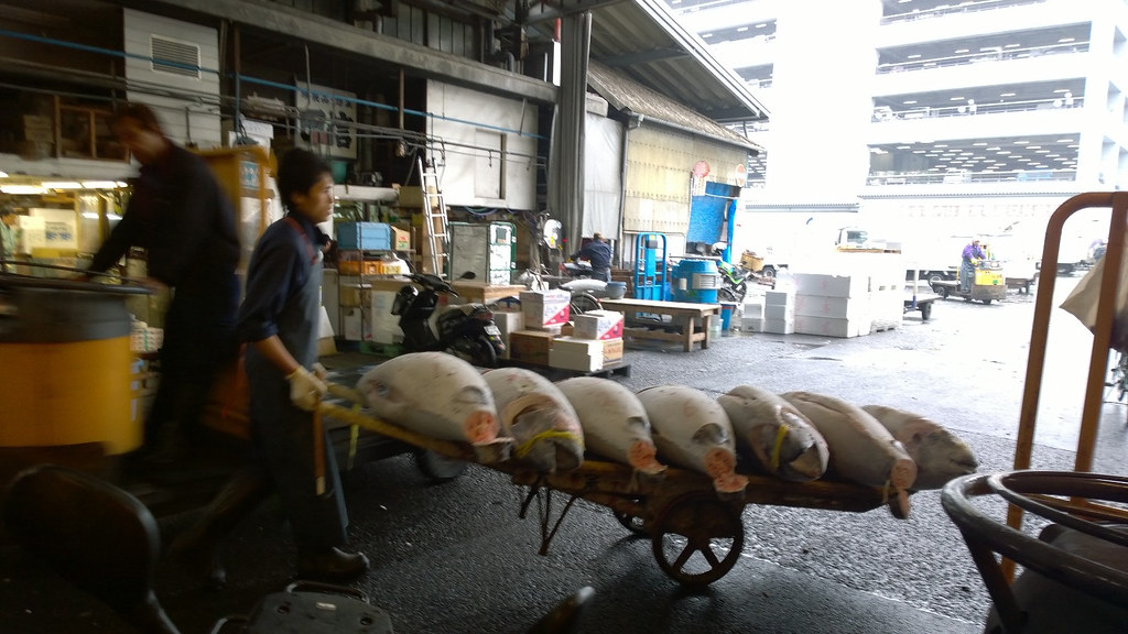 Tokio | Tsukijin kalatori