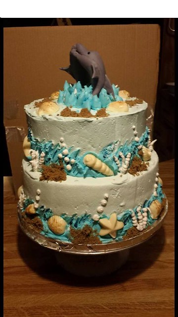 Dolphin Cake from Nothing Fancy Cakes & Dessert by Lori Holmes Preisinger