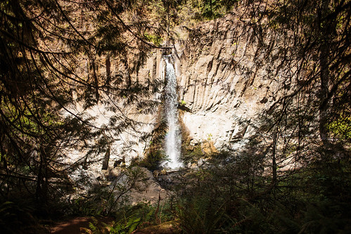 Drift Creek Falls-9920