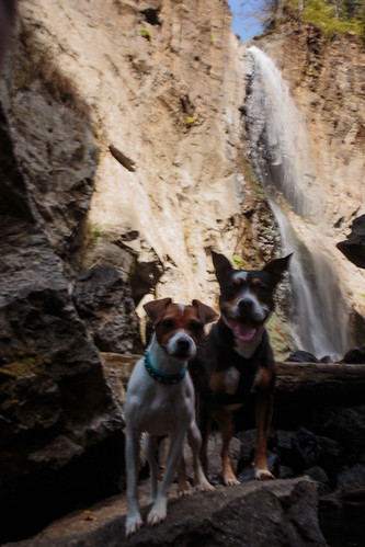Drift Creek Falls-9889