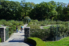Peggy Rockefeller Rose Garden - New York Botanical Garden, Bronx, NYC