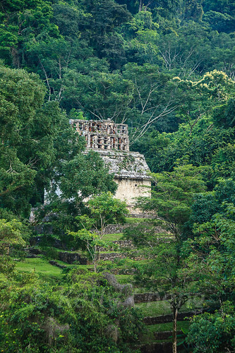 chiapas maya mayan mexico nationalparkofpalenque northamerica palenque unescoworldheritagesite architecture building color colorful colour colourful culture day daylight forest heritage landscape nopeople nobody outdoor ruins tourism travel traveldestinations