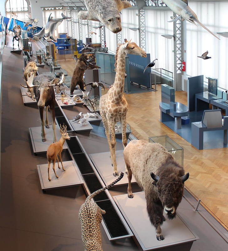 Brussels Museum of Natural Sciences