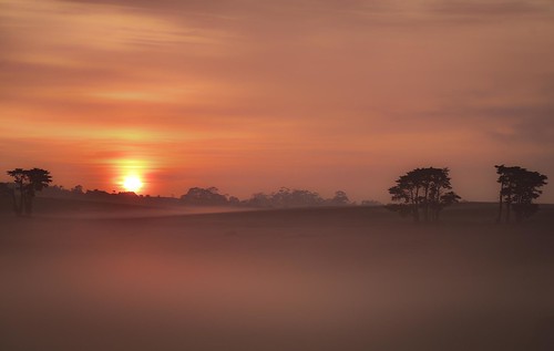 phunnyfotos australia victoria vic gippsland westgippsland warragul sunrise dawn fog foggy mist misty rural farm light nikon d750 nikond750 weather