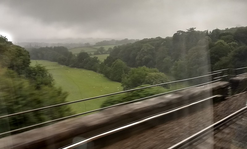 Grey and green, somewhere in Devon