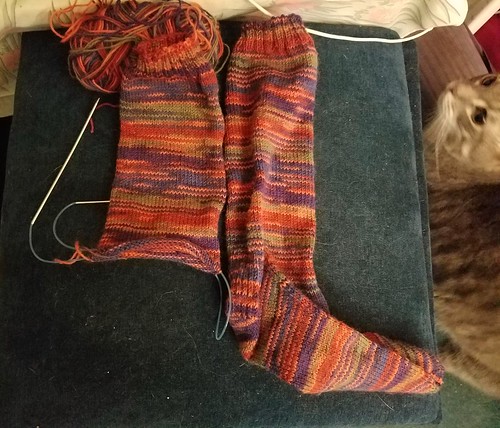 Socks in Progress: Aug. 4, 2017