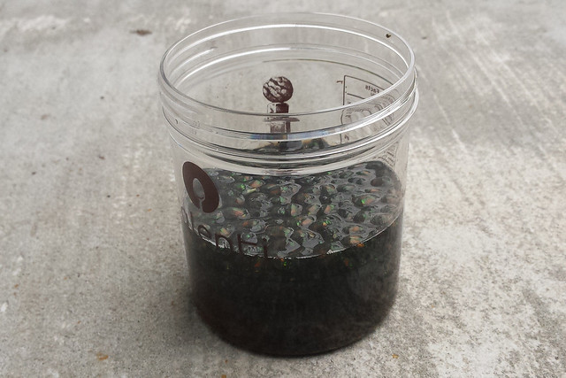 similar container with several layers dead Japanese beetles floating in dark, murky water, viewed from the side