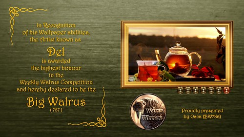 WW786 Weekly Walrus Certificate - Del