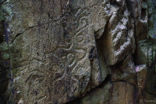 Rock Carvings at Wong Chuk Hang