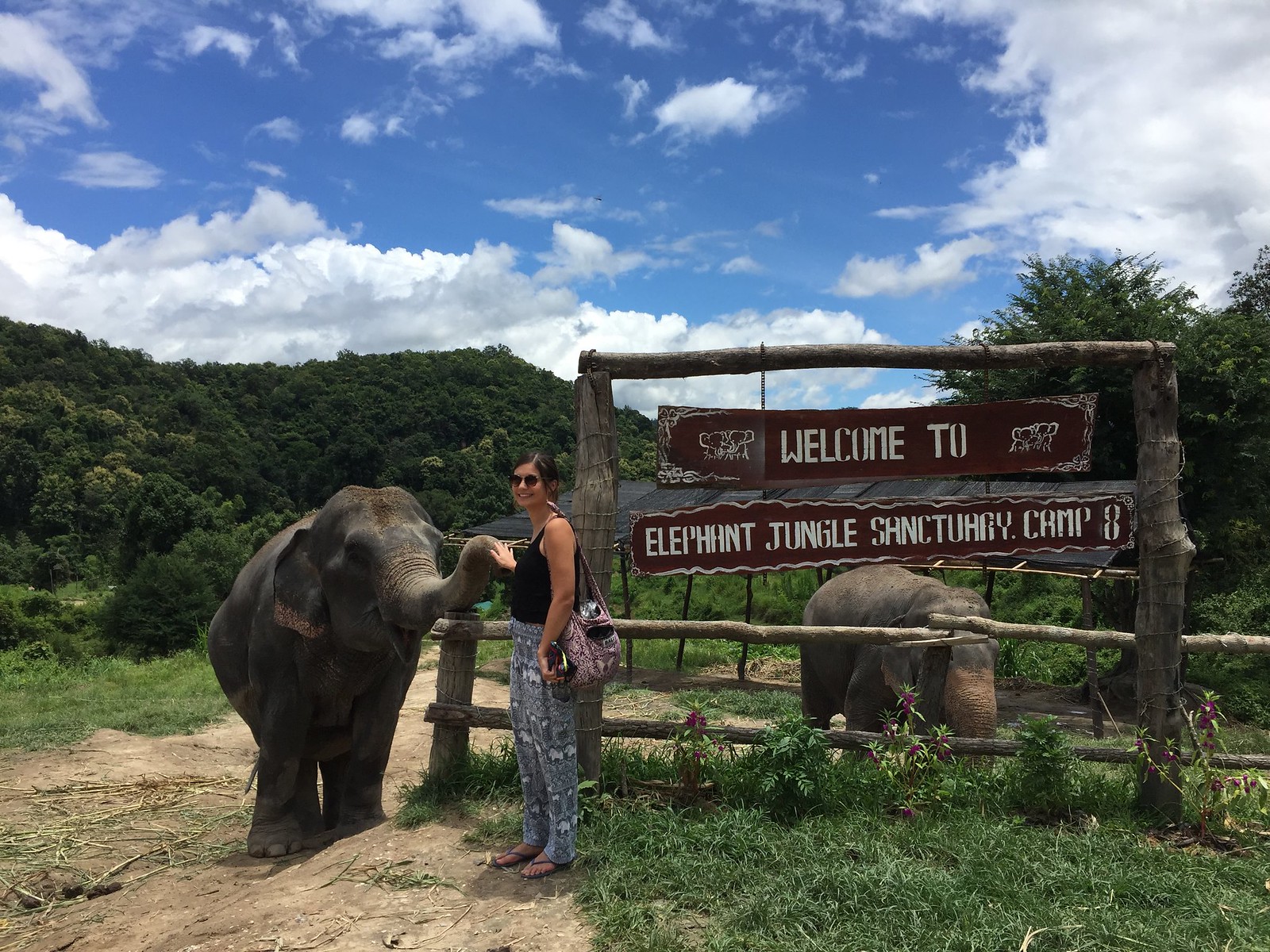 At the Elephant Jungle Sanctuary